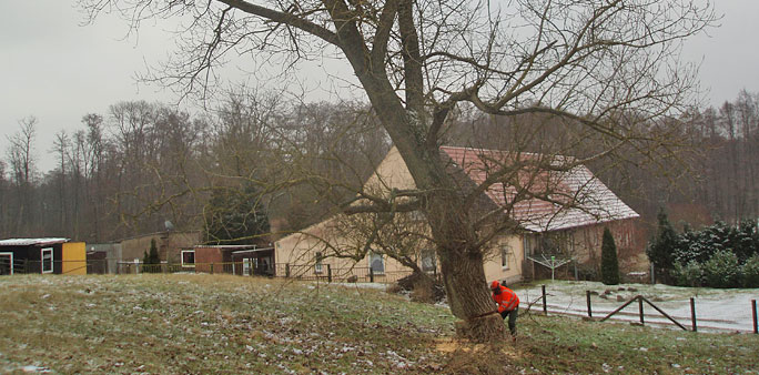 Gartenbau 1