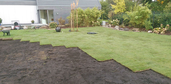 Gartenbau 11
