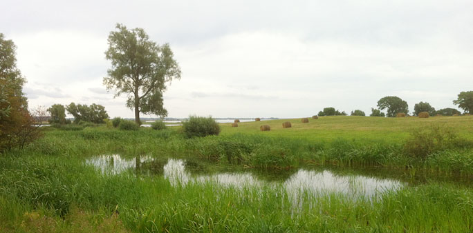 Gartenbau 17