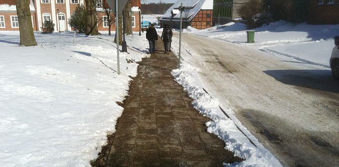 Winterdienst 5